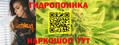 круглые Ставрополь