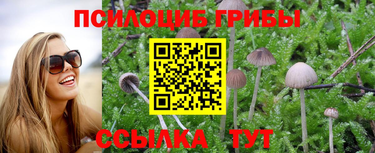 Галлюциногенные грибы GOLDEN TEACHER Ногинск