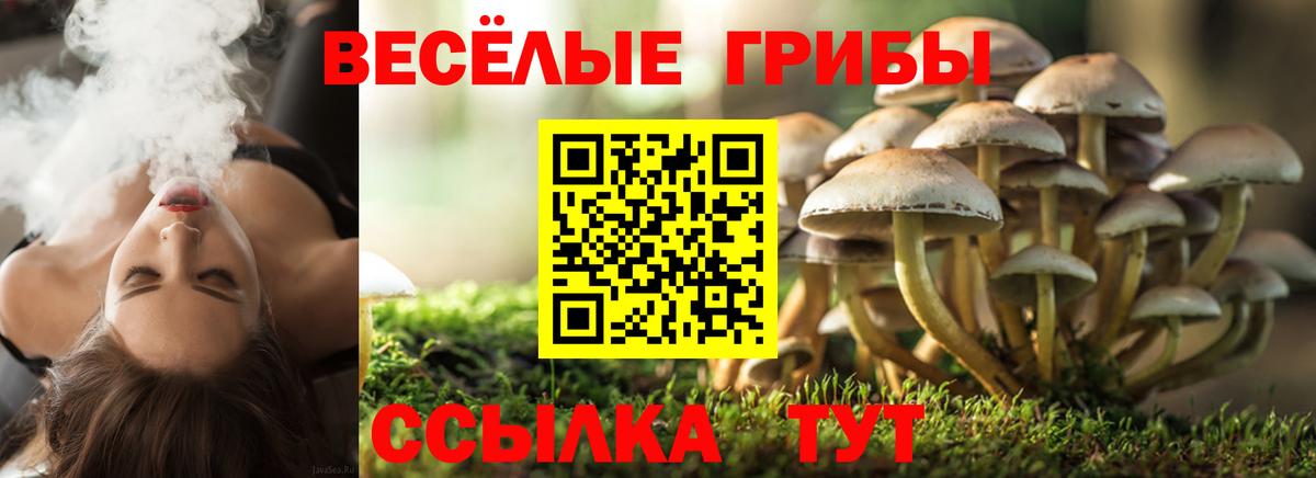 Галлюциногенные грибы GOLDEN TEACHER  Вход с VPN  Ногинск 